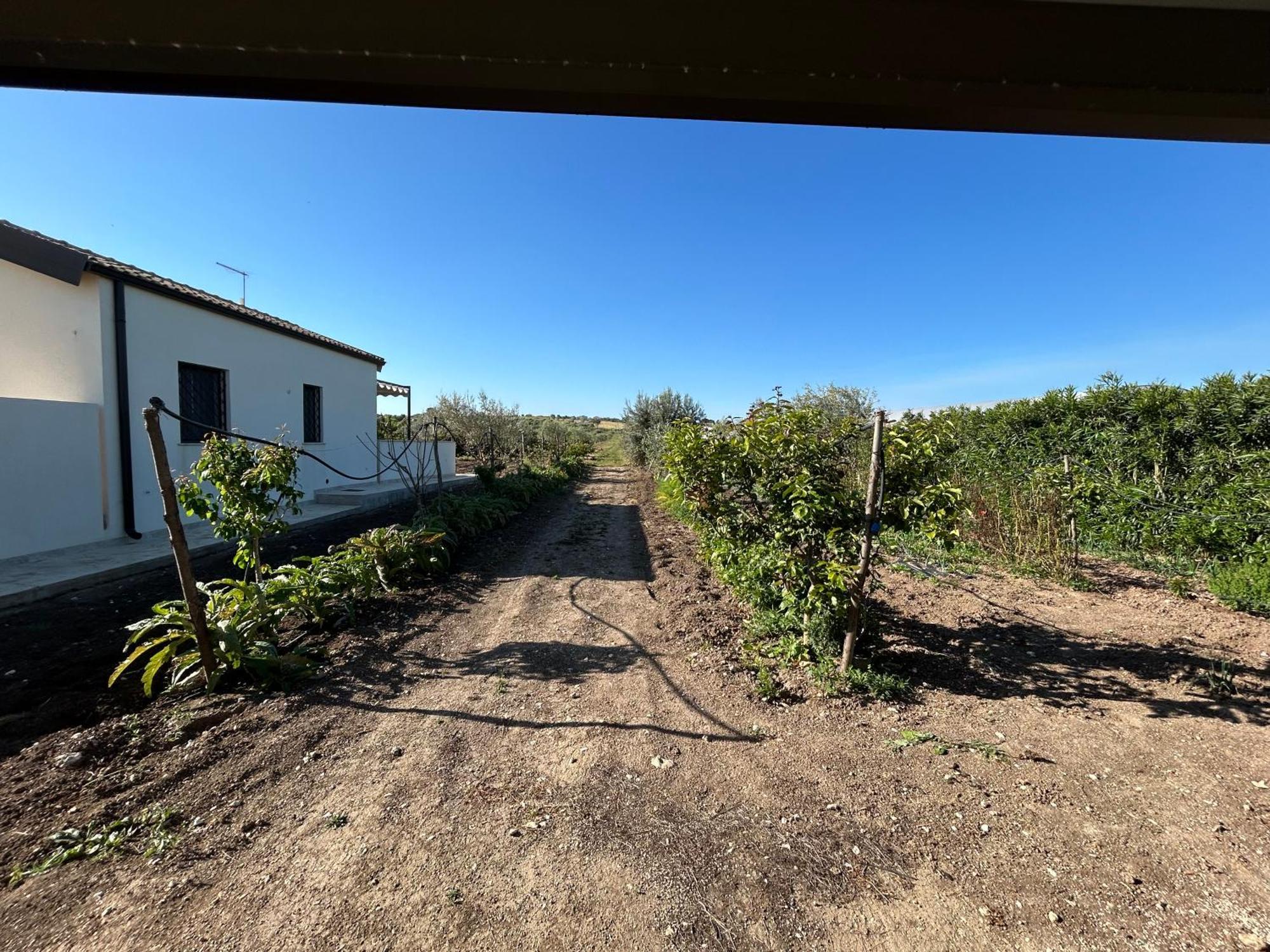 Baglio Il Gelso E L'Ulivo Appartamento Il Fico Noto Exterior photo